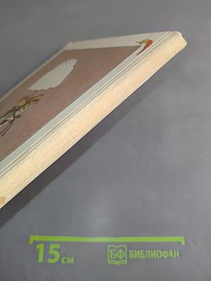 Приглашение к еде