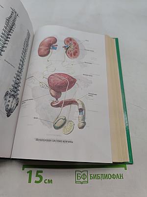 Энциклопедия народной медицины