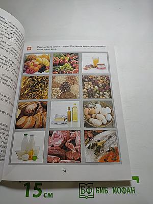 Основы безопасности жизнедеятельности 5-7 классы