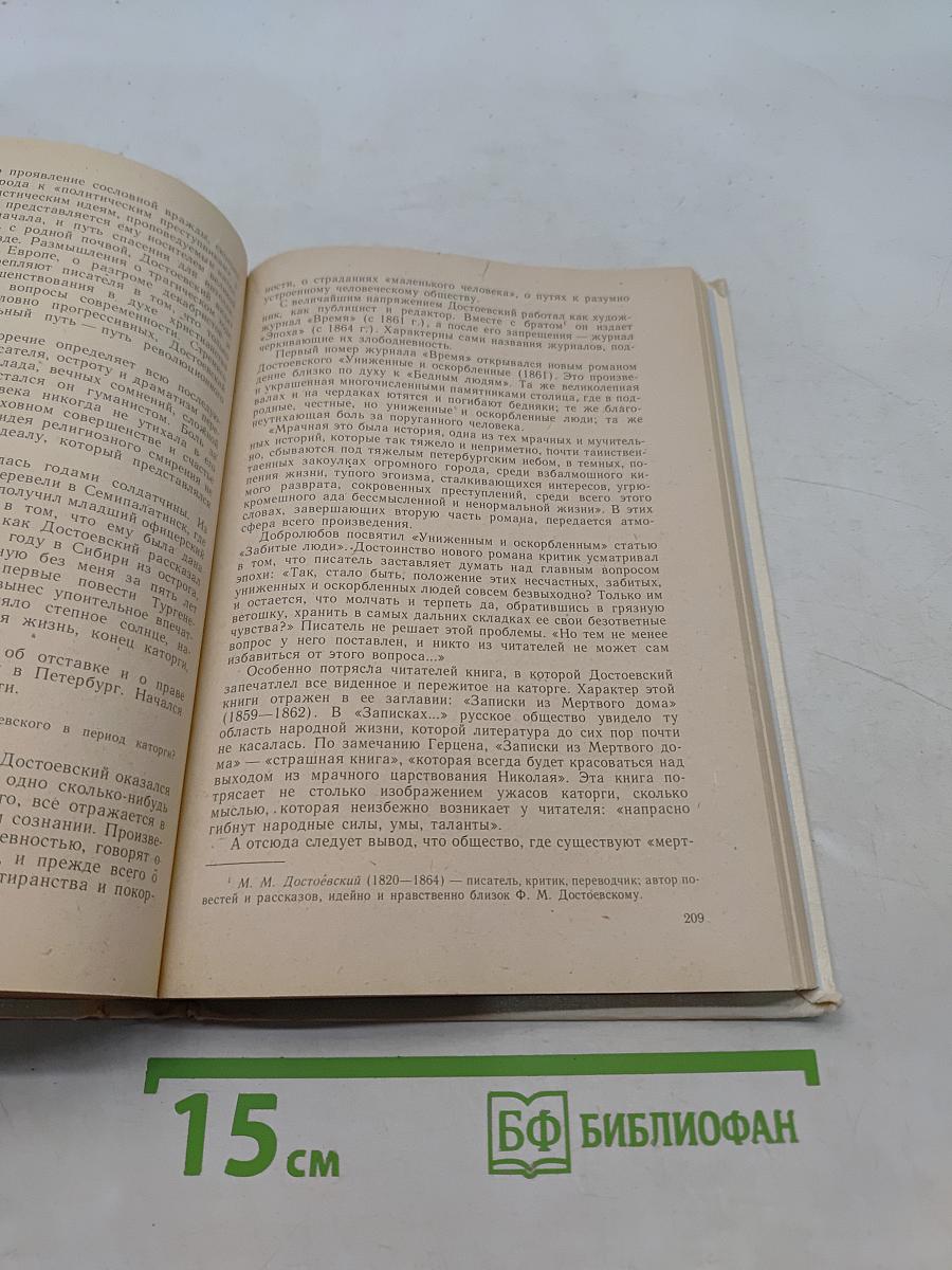 Русская литература. Учебник для 9 класса средней школы