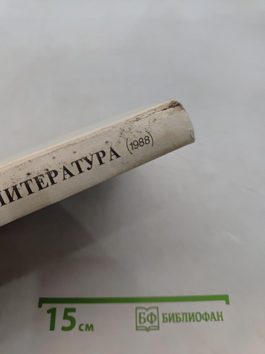 Русская литература. Учебник для 9 класса средней школы