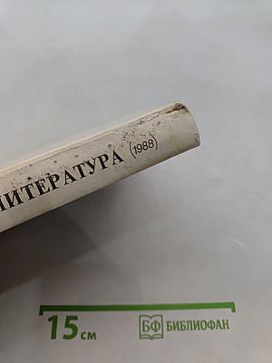 Русская литература. Учебник для 9 класса средней школы