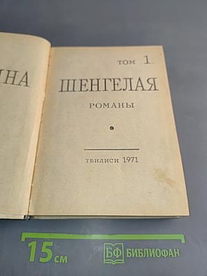 Шенгелая. Романы. Том 1