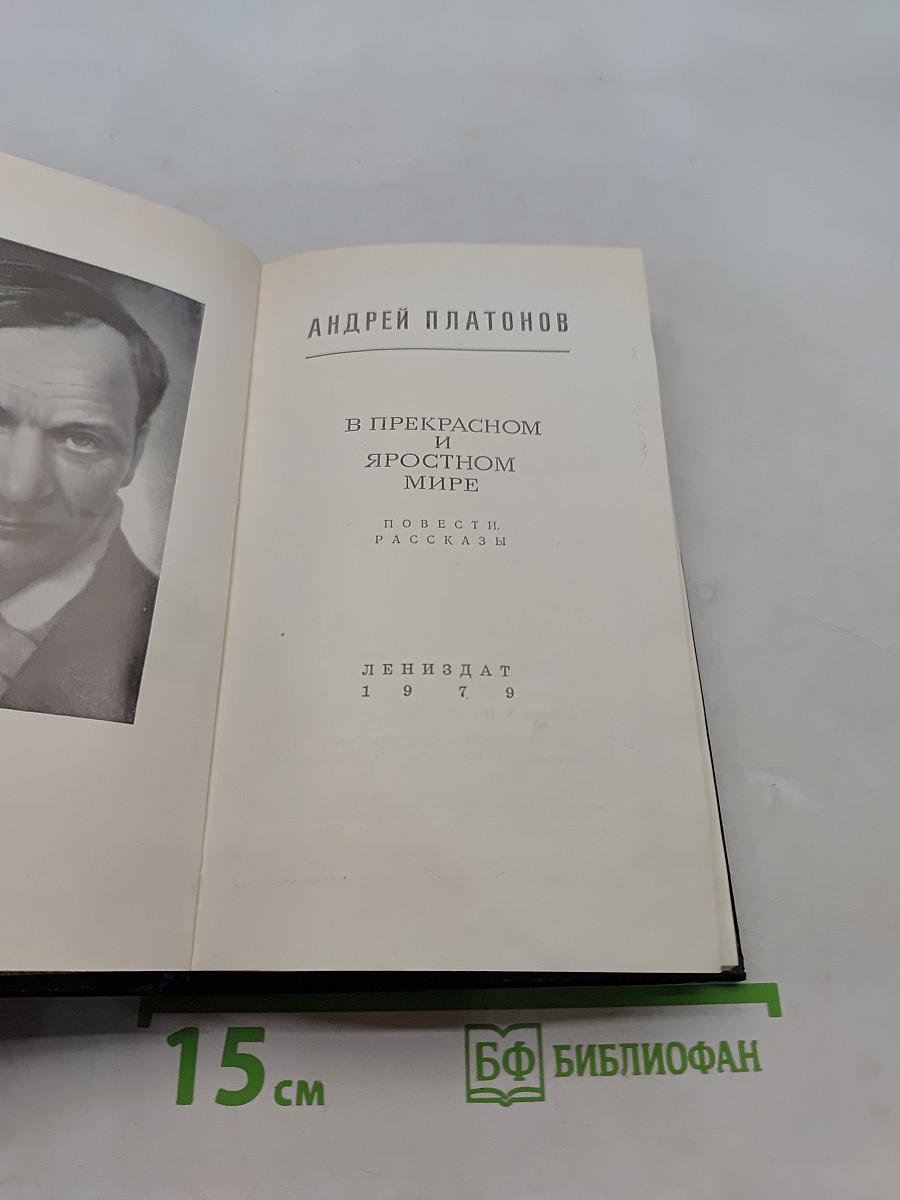 В прекрасном и яростном мире. Повести, рассказы