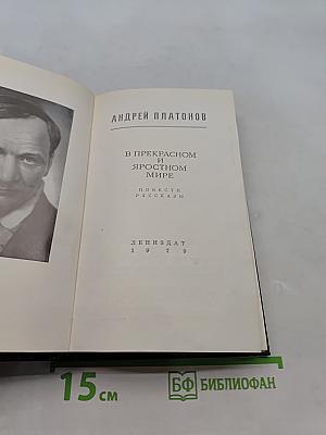 В прекрасном и яростном мире. Повести, рассказы