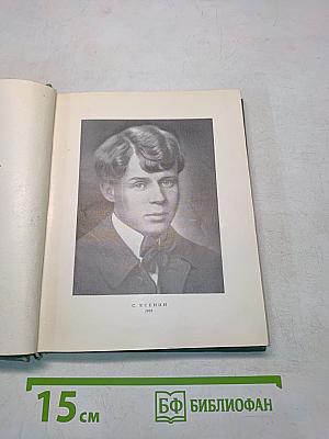 Собрание сочинений. Том второй. Стихотворения. Драматические поэмы (октябрь 1917-1923)