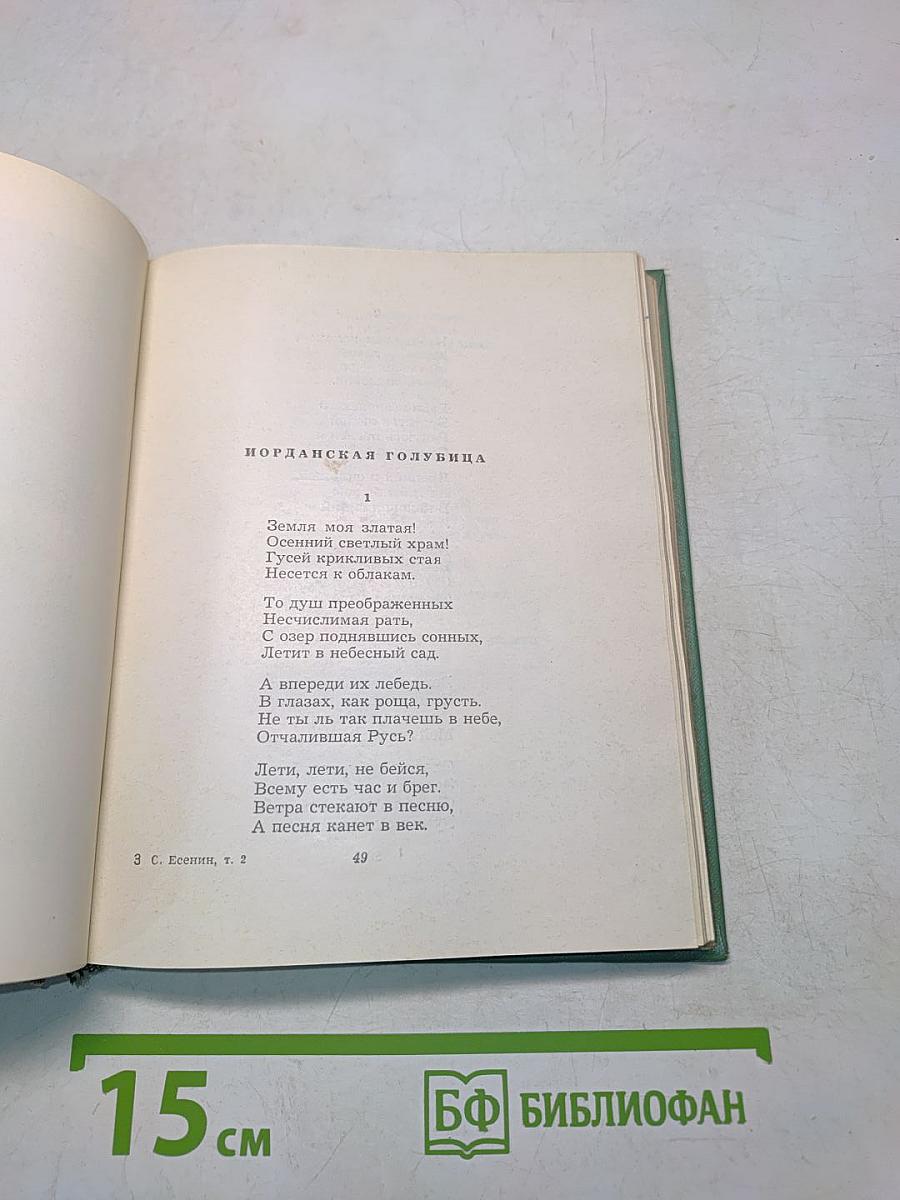 Собрание сочинений. Том второй. Стихотворения. Драматические поэмы (октябрь 1917-1923)