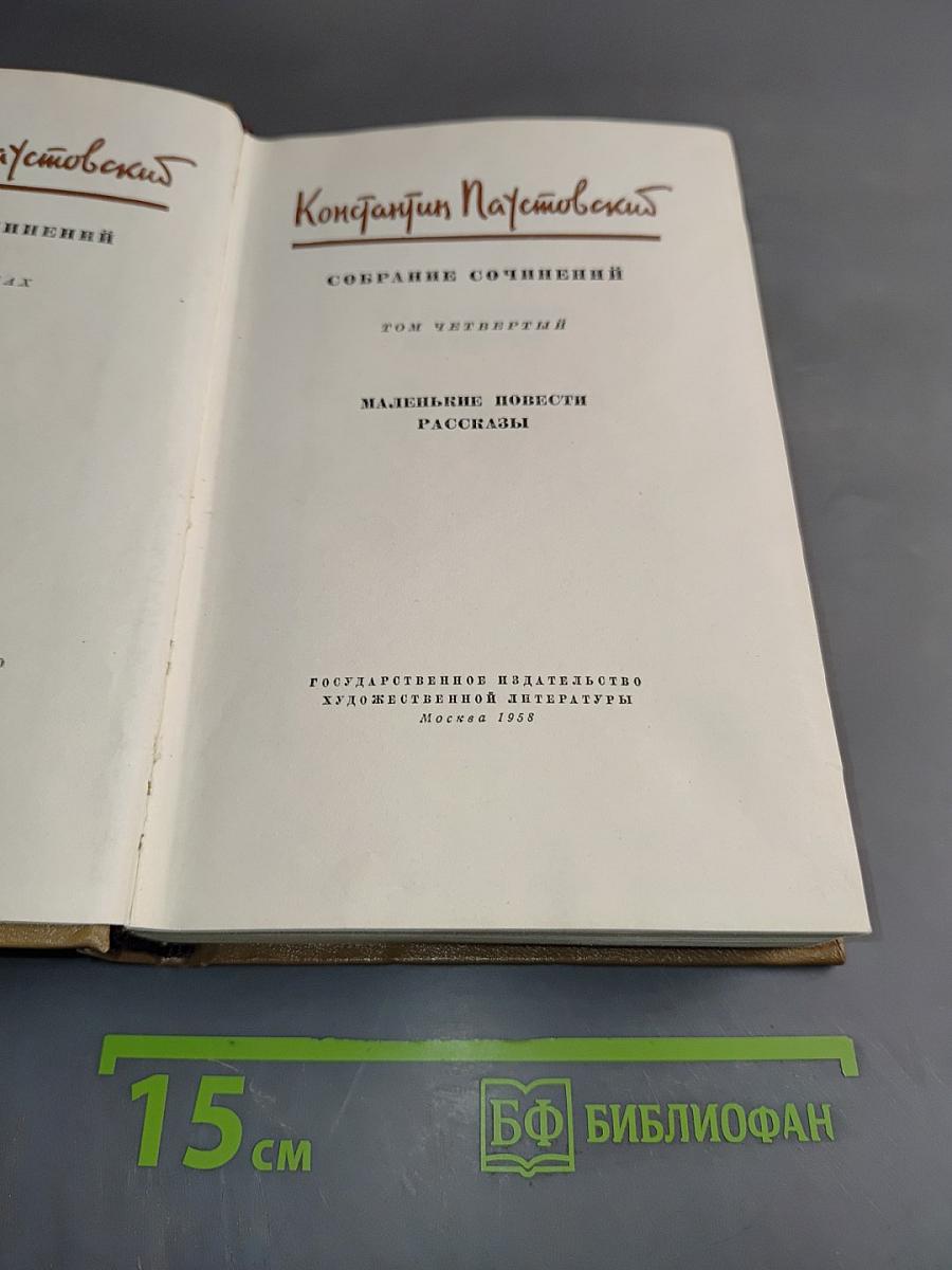 Собрание сочинений. Том четвертый. Маленькие повести. Рассказы