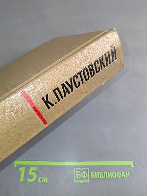 Собрание сочинений. Том четвертый. Маленькие повести. Рассказы