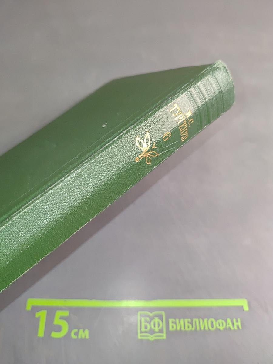 Собрание сочинений. Том шестой. Повести и рассказы 1854-1860 годов