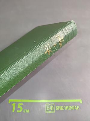 Собрание сочинений. Том шестой. Повести и рассказы 1854-1860 годов