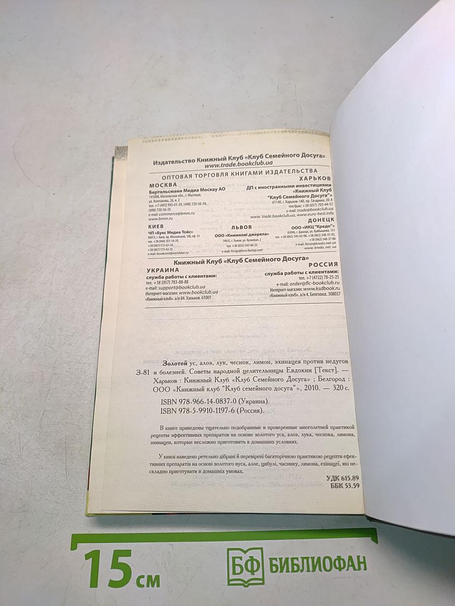 Золотой ус, алоэ, лук, чеснок, лимон, эхинацея против недугов и болезней