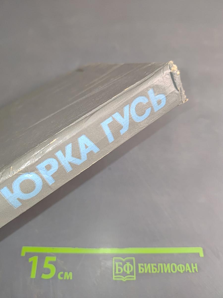 Юрка Гусь. Повести и рассказы