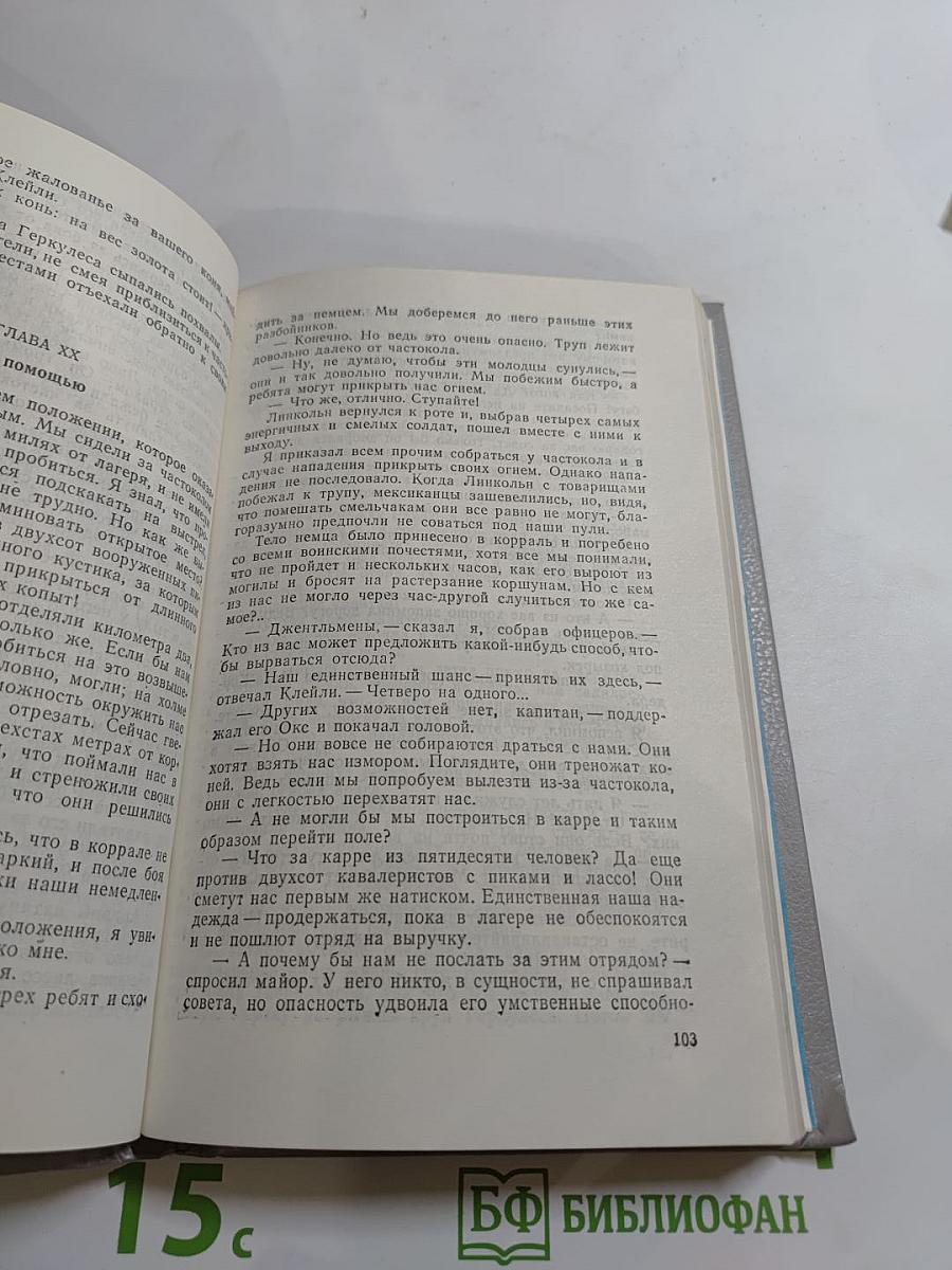 Вольные стрелки. Вождь гверильясов