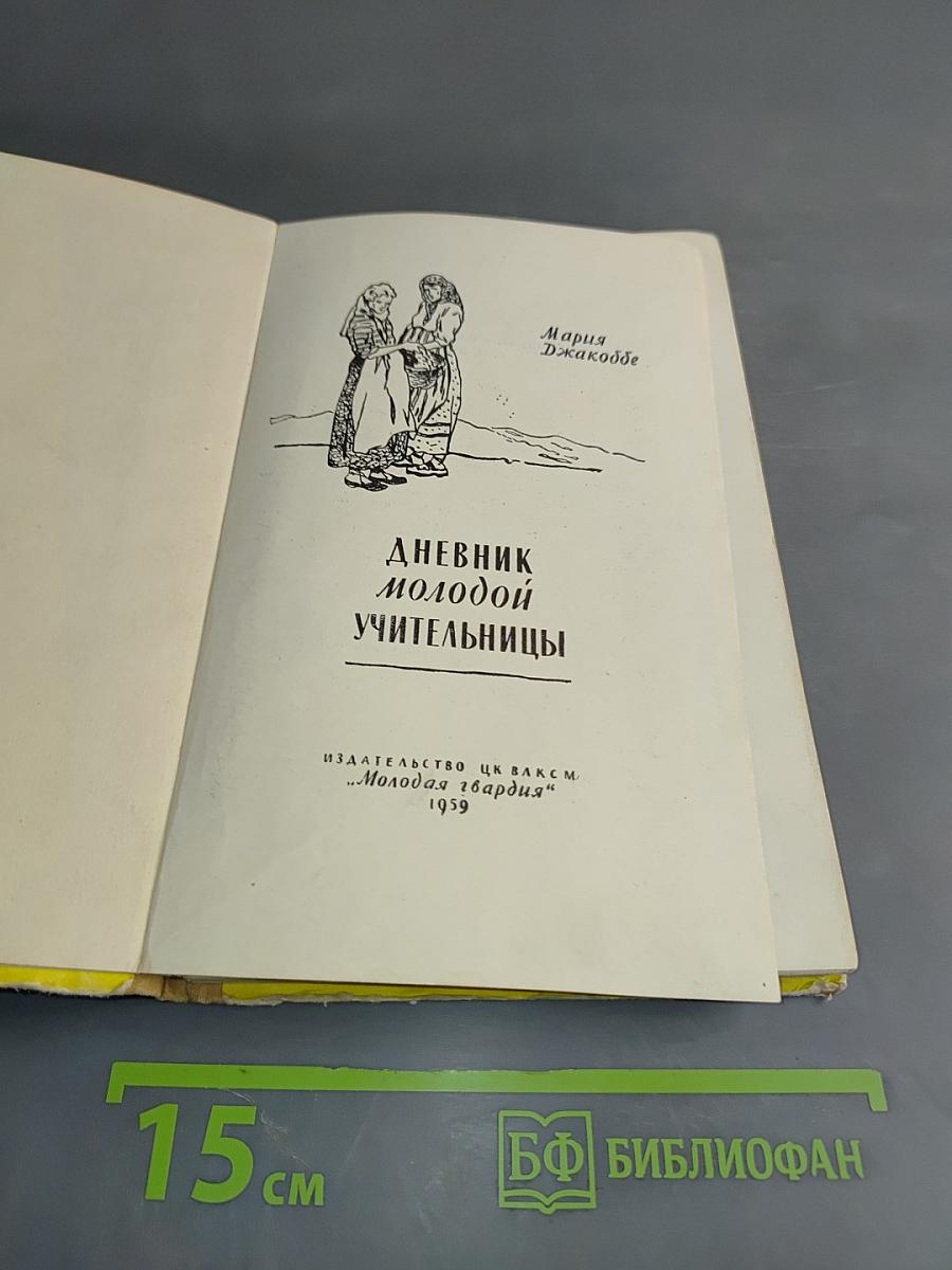 Дневник молодой учительницы