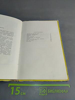Дневник молодой учительницы