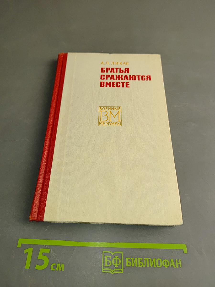 Братья сражаются вместе