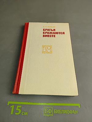 Братья сражаются вместе