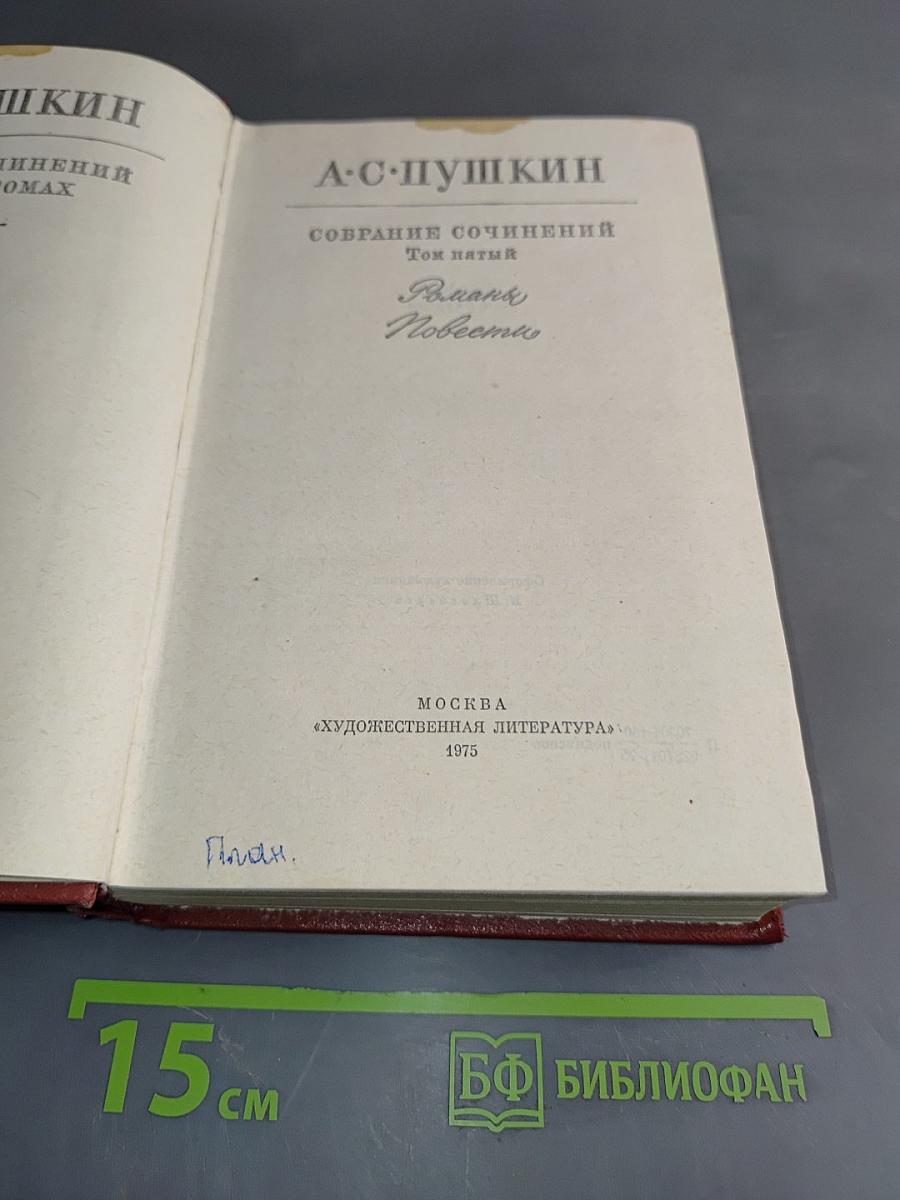 Собрание сочинений. Том пятый. Романы и повести