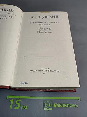 Собрание сочинений. Том пятый. Романы и повести
