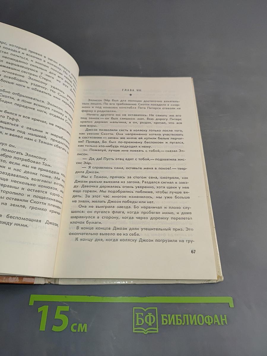 Спортивное предложение