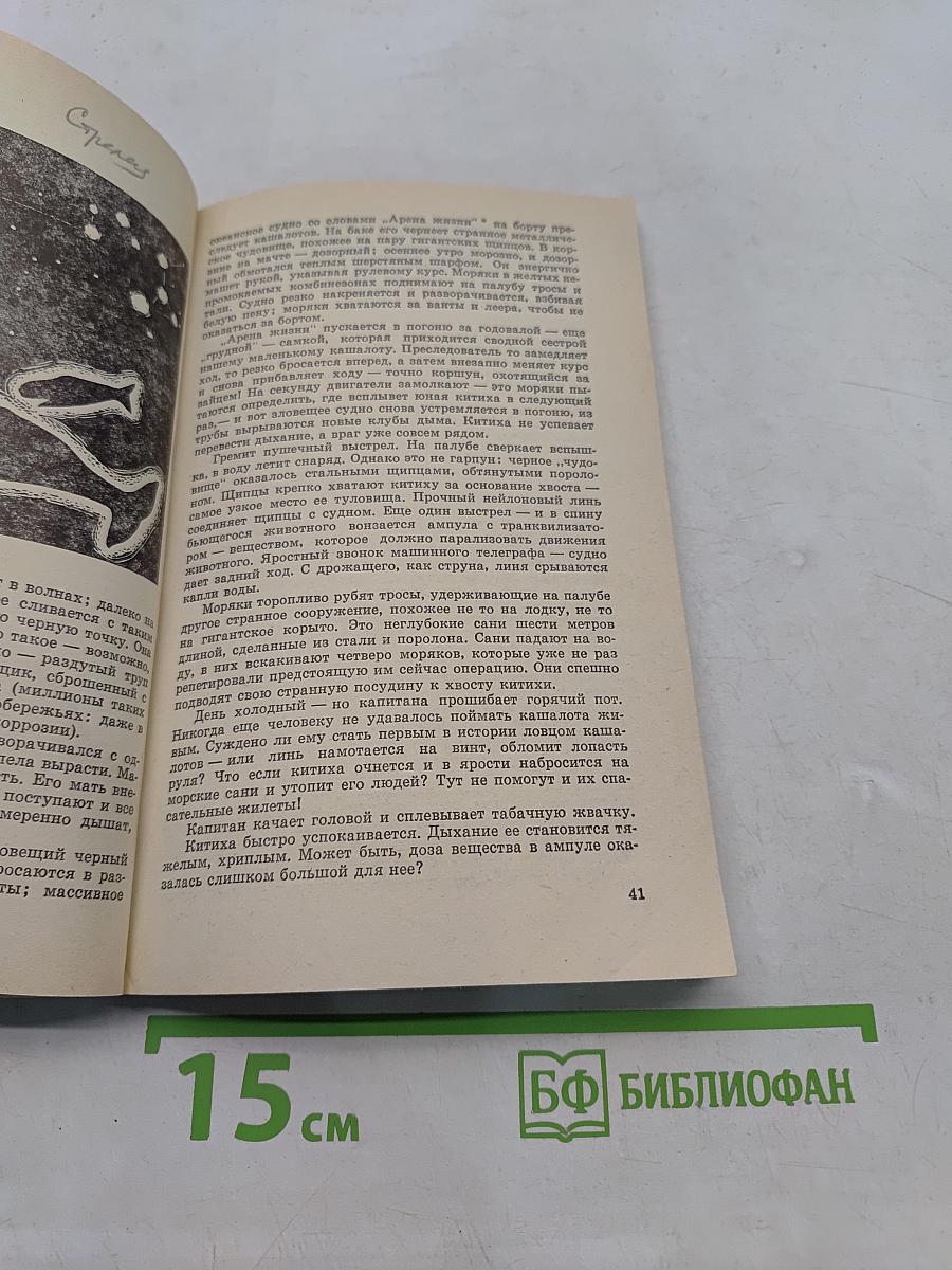 Год кита