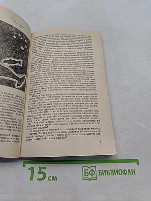 Год кита