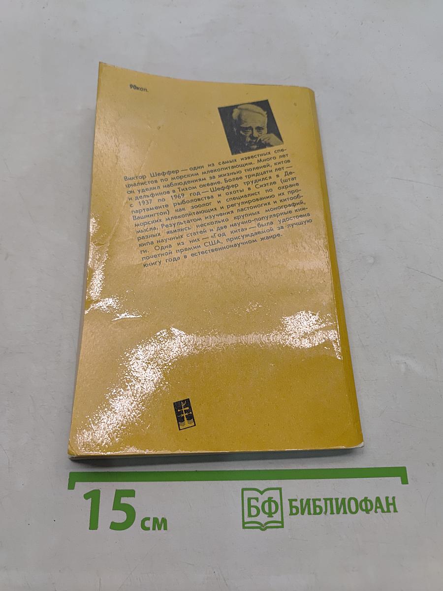 Год кита