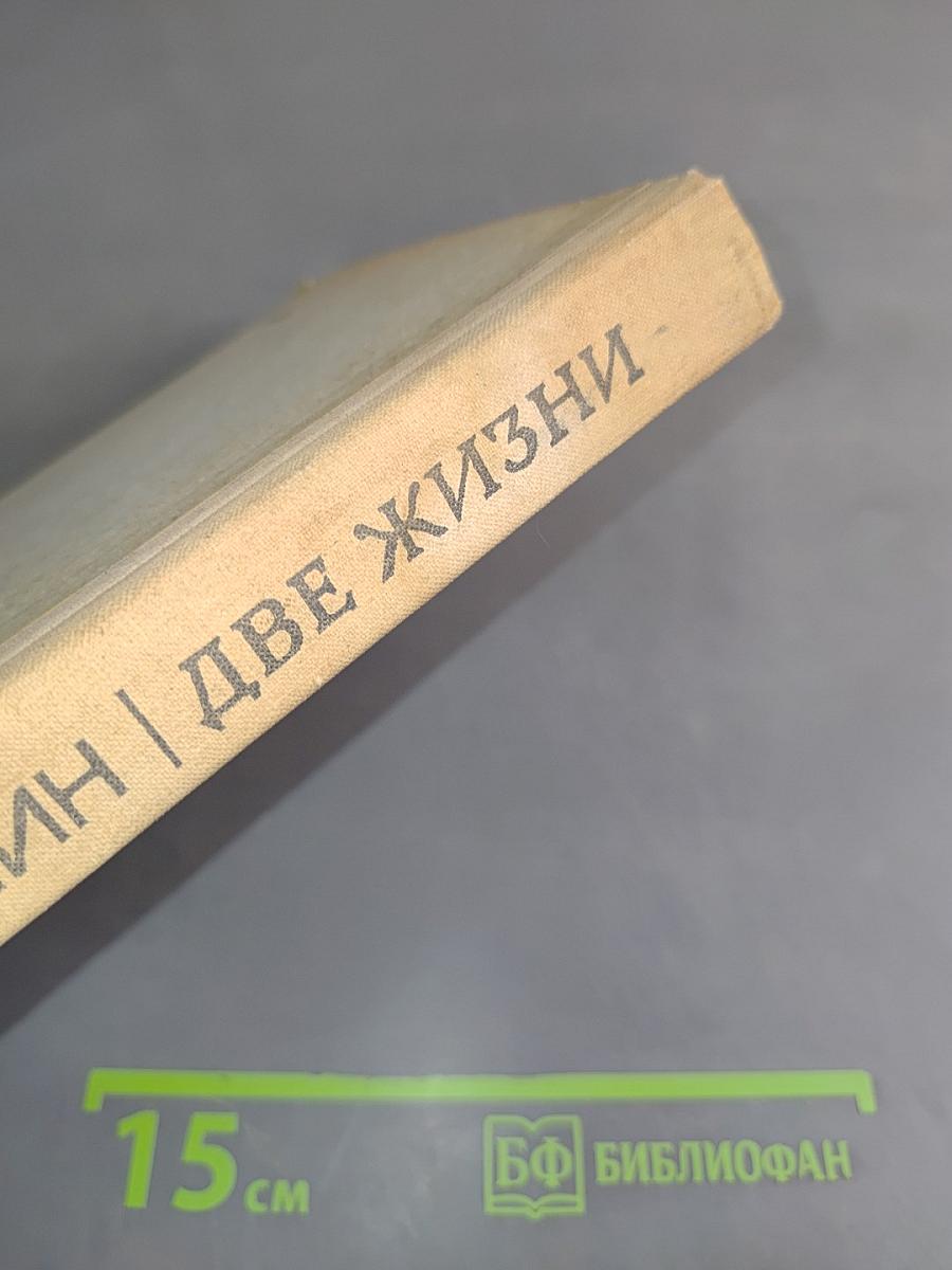 Две жизни