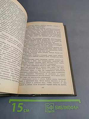 Здоровье и духовность. Физические методы оздоровления