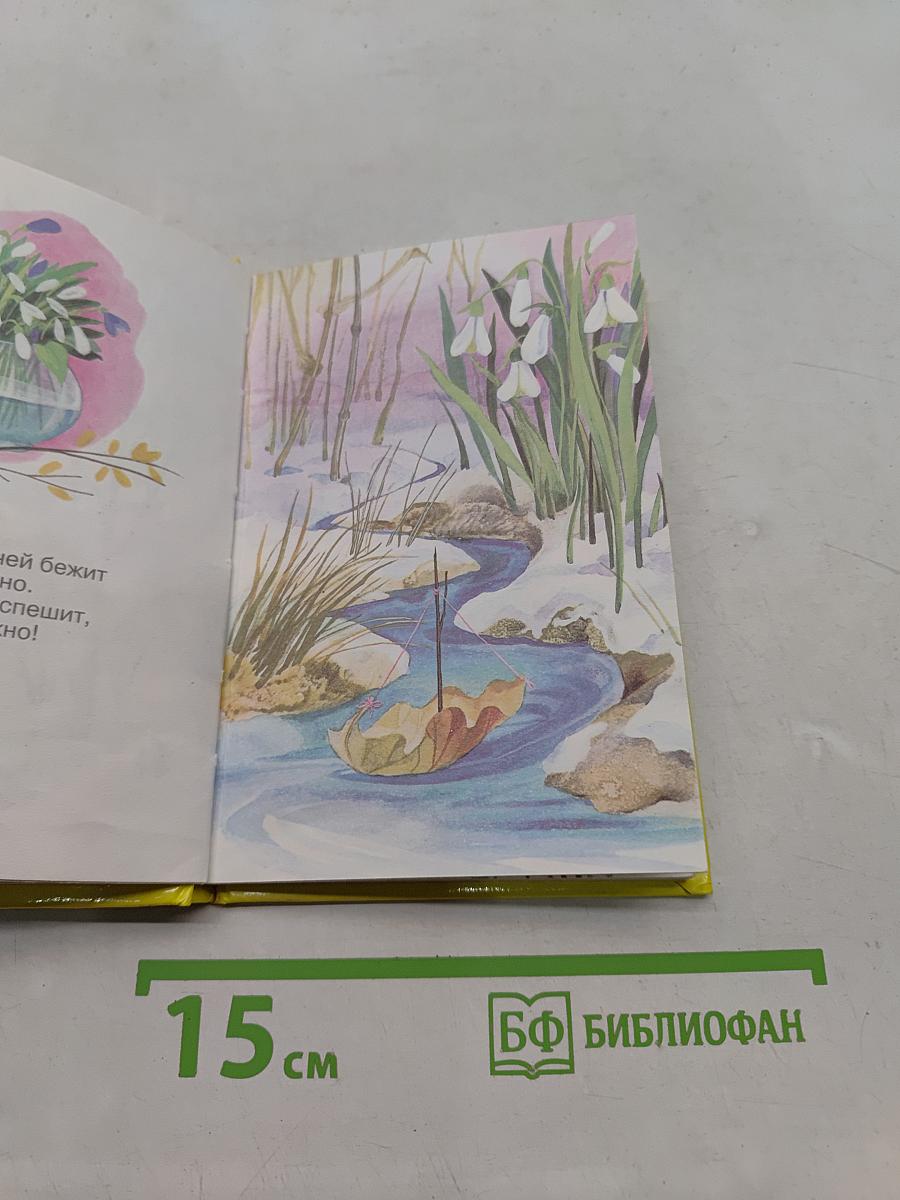 Зайкин день