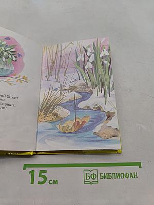 Зайкин день