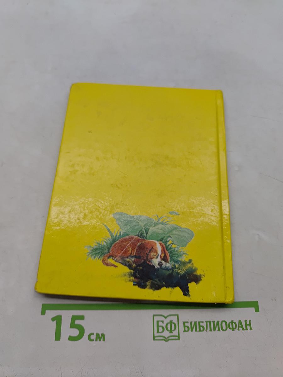 Азбука