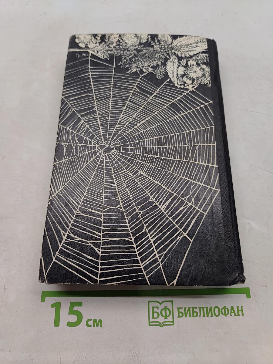 Долгий свет