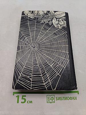 Долгий свет