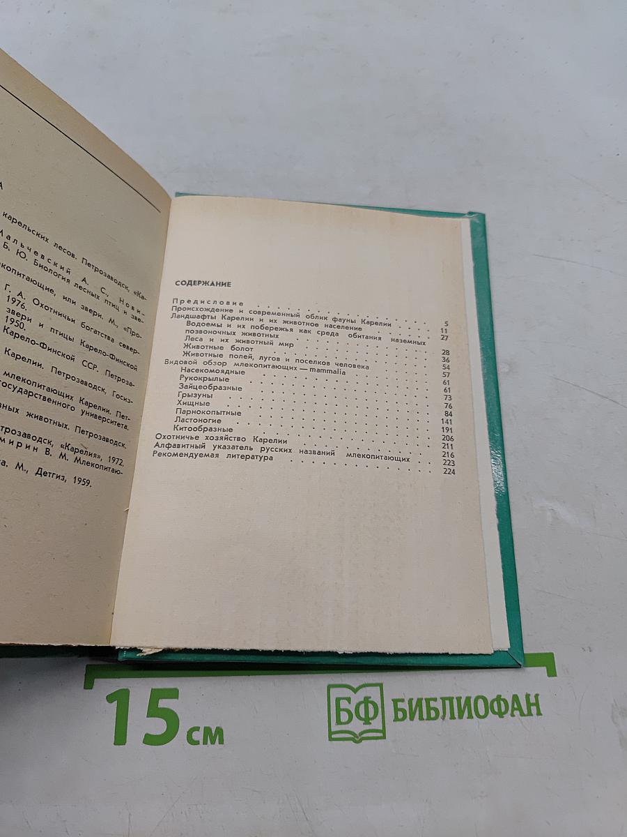 Млекопитающие