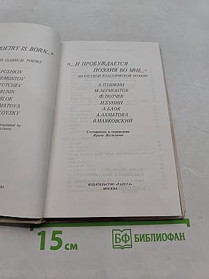 "...И пробуждается поэзия во мне..." Из русской классической поэзии