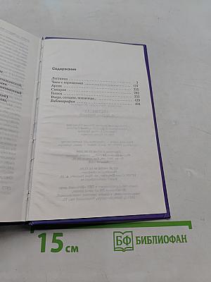 Лестница и другие повести