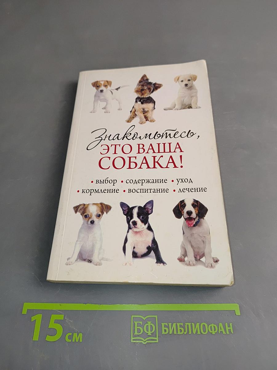 Знакомьтесь, это ваша собака!