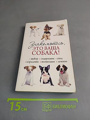Знакомьтесь, это ваша собака!