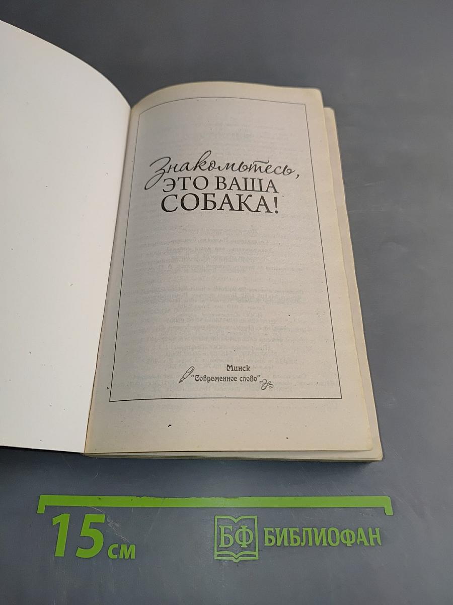 Знакомьтесь, это ваша собака!