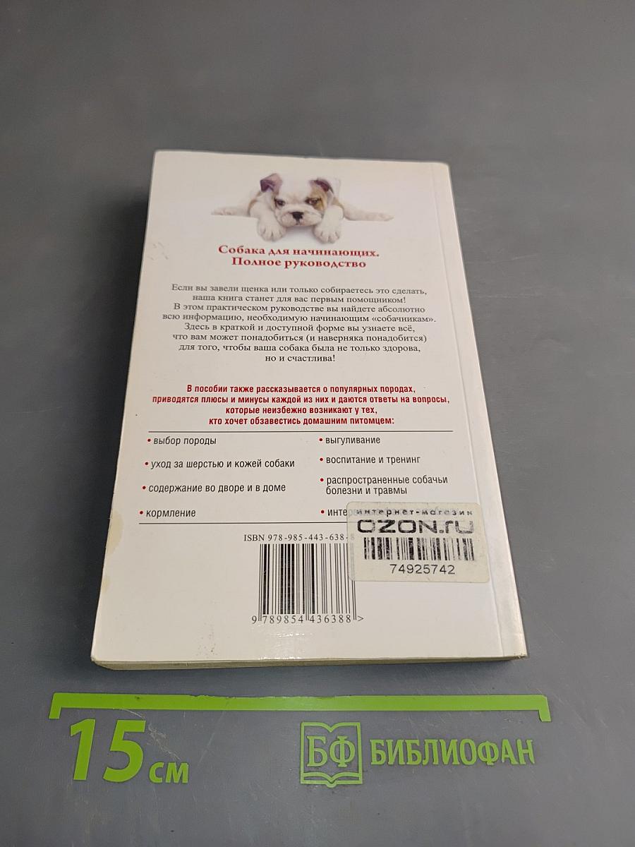 Знакомьтесь, это ваша собака!