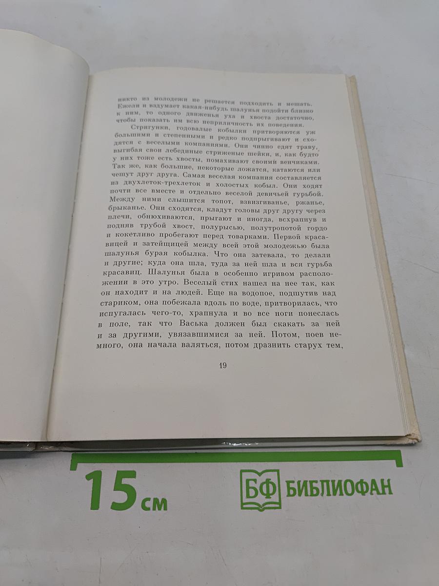 Холстомер. История лошади