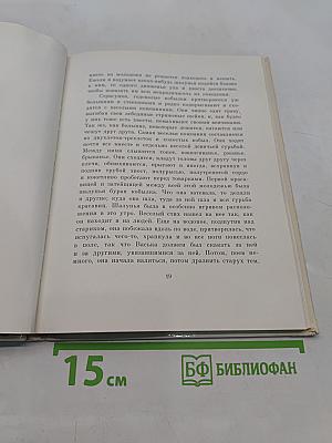 Холстомер. История лошади