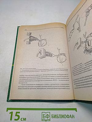 Неотложная абдоминальная хирургия. Практикум