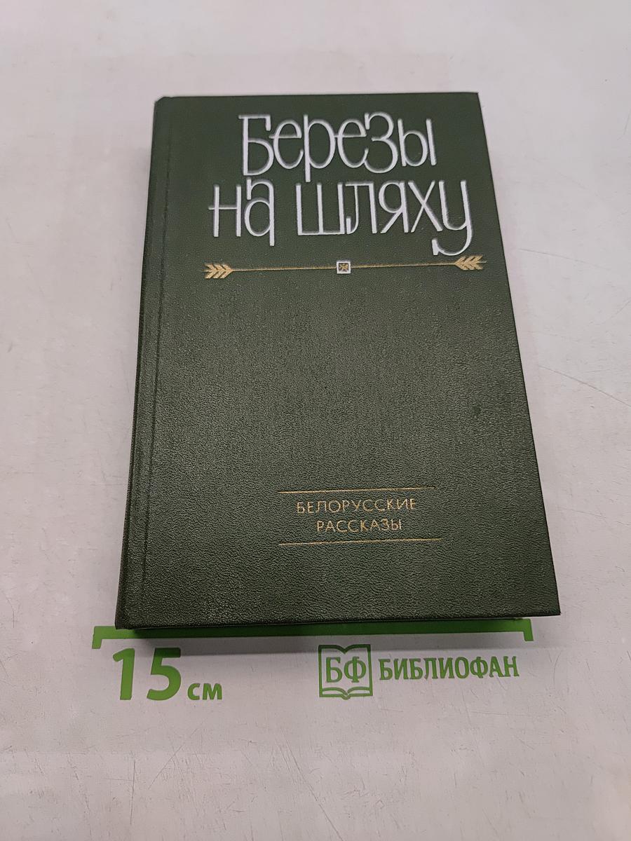 Березы на шляху
