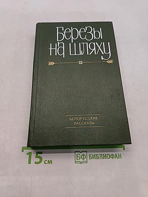 Березы на шляху