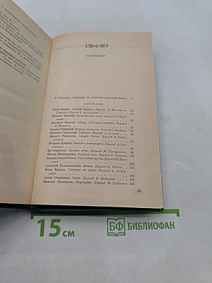 Березы на шляху