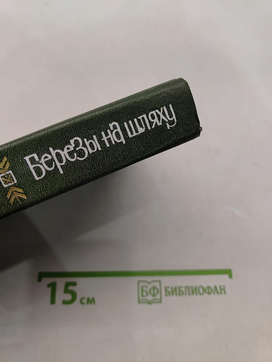 Березы на шляху