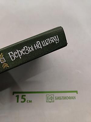 Березы на шляху